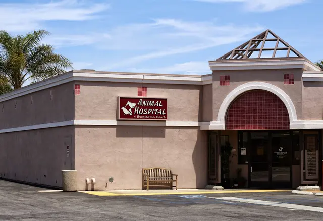 Animal Hospital of Huntington Beach — photo from the business 4
