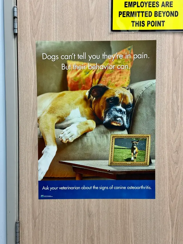 Customer photo of work by Animal Hospital of Huntington Beach, from Jeric Leviste's review