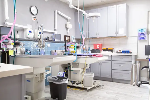 Animal Hospital of Huntington Beach — photo from the business 6