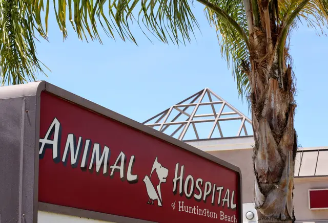 Animal Hospital of Huntington Beach — photo from the business 11