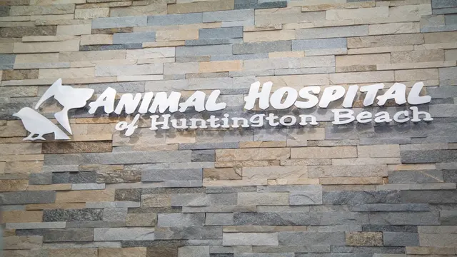 Animal Hospital of Huntington Beach — photo from the business 1