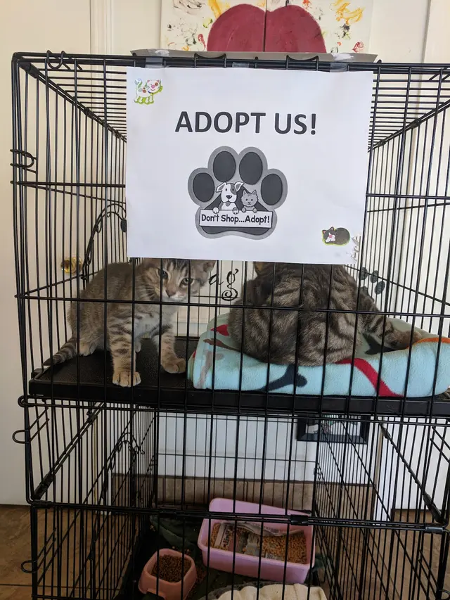 Alamitos Animal Hospital — customer photo 4