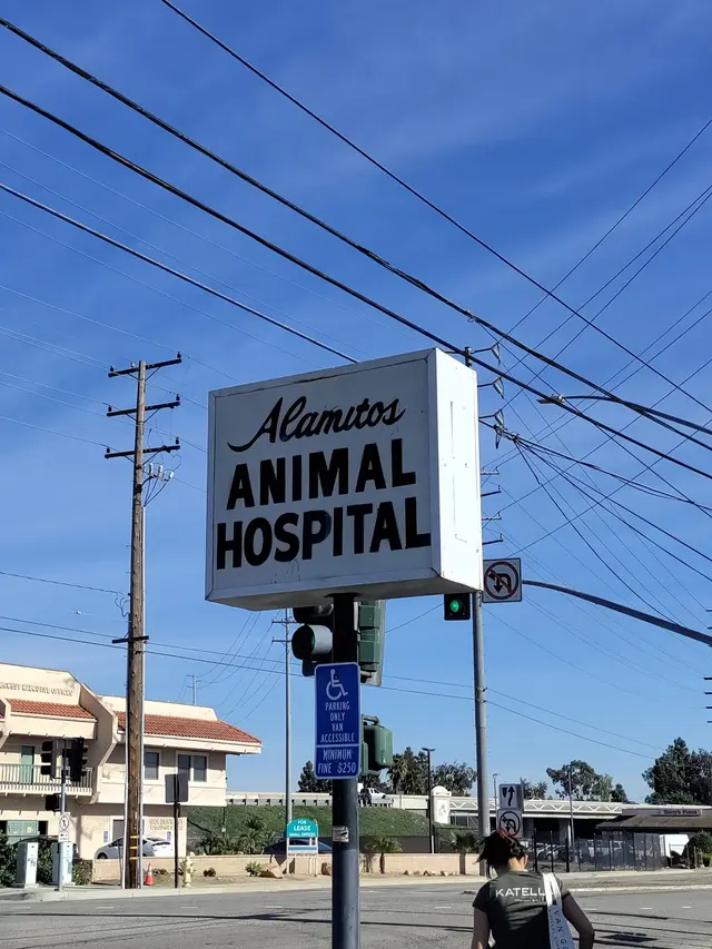 Alamitos Animal Hospital — customer photo 5