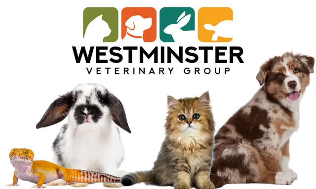 Westminster Veterinary Group — photo from the business 1