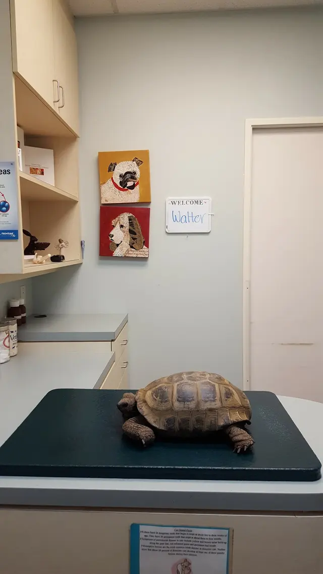 Westminster Veterinary Group — customer photo 3