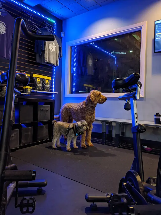 RepRoom Gym — customer photo 11