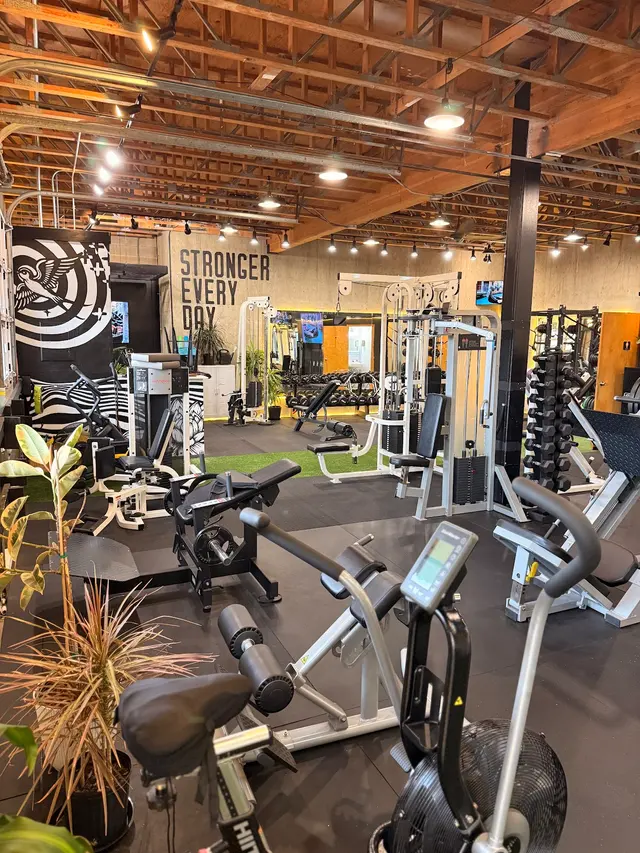 Leaner Fitness — photo from the business 2