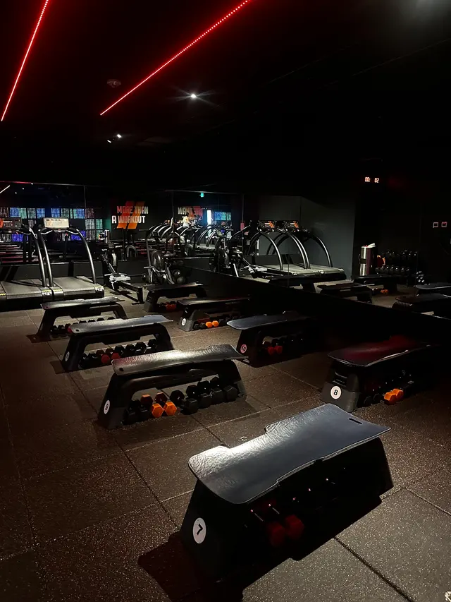 Shred415 Bellevue — customer photo 2