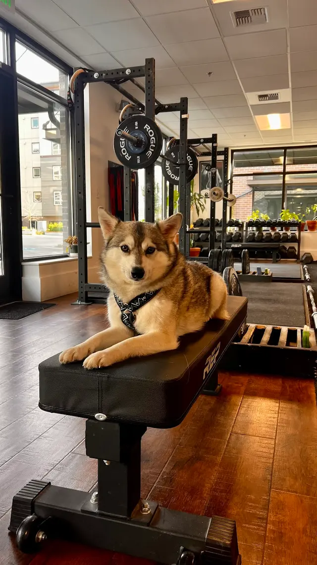 Good Time Fitness — photo from the business 3