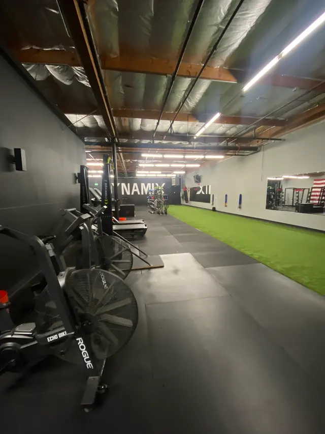 Customer photo of work by Dynamix Fitness LLC, from Olga Kovalenko's review