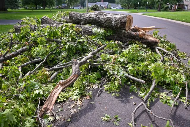 Vargas Junk Removal — photo from the business 5