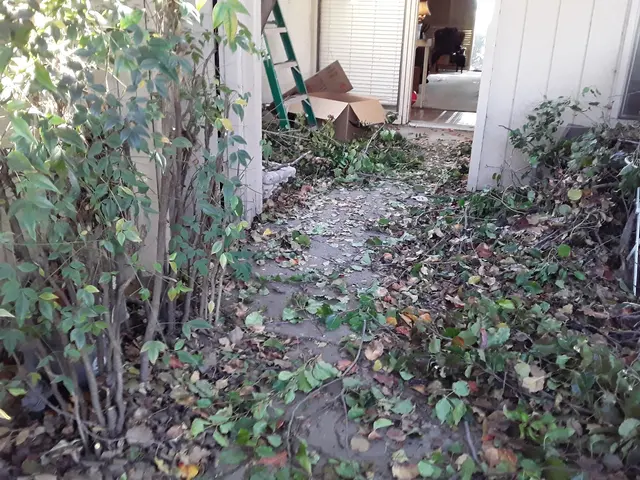 Thousand Oaks Strong Hauling & Junk Removal — photo from the business 10
