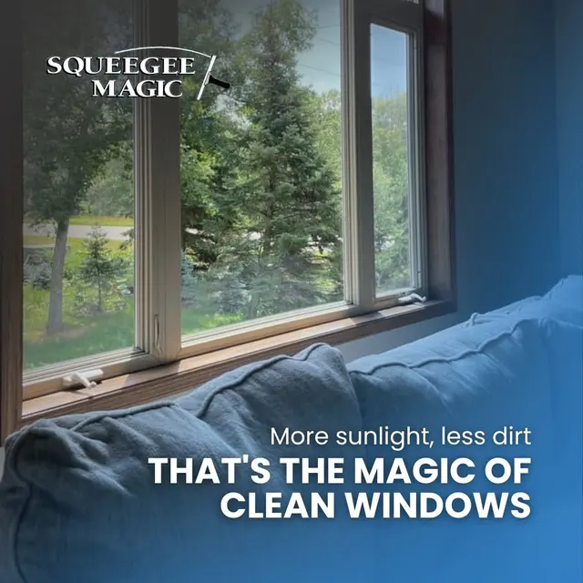 Squeegee Magic — photo from the business 4