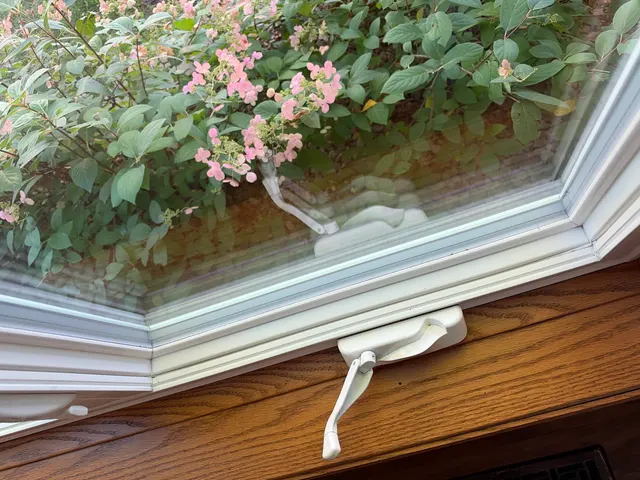 Customer photo from R's review