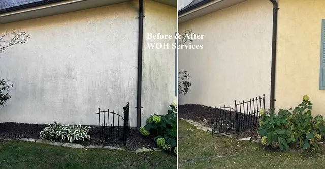 Windows of Hope Services — photo from the business 7