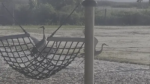 Ralph V. Chisholm Regional Park — customer photo 2