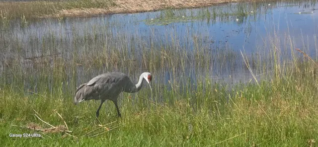 Ralph V. Chisholm Regional Park — customer photo 6