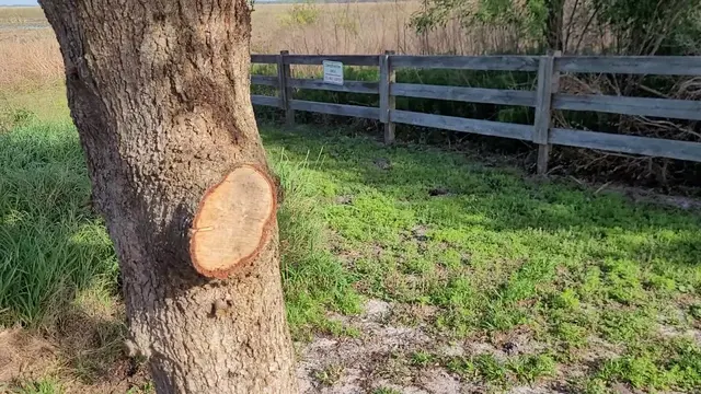 Cherokee Point Conservation Area — customer photo 3