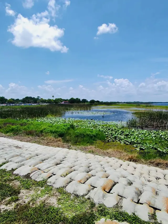 Dan Tarrell Memorial Point — customer photo 7