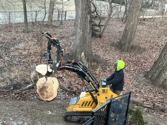 Royal Oaks Tree Care Inc. — customer photo 4