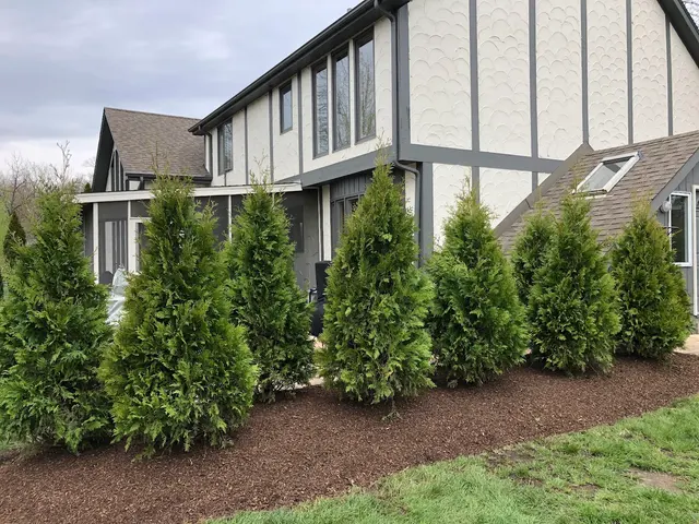 Royal Oaks Tree Care Inc. — photo from the business 11