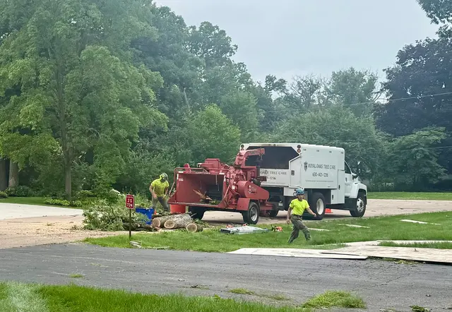 Customer photo of work by Royal Oaks Tree Care Inc., from Becky G's review