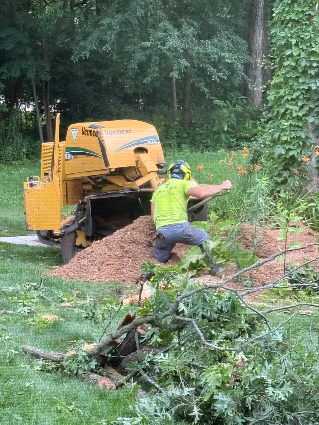Customer photo of work by Royal Oaks Tree Care Inc., from Becky G's review