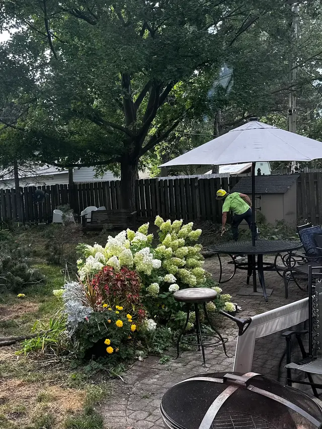 Customer photo from Patty's review