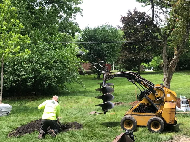Royal Oaks Tree Care Inc. — photo from the business 3