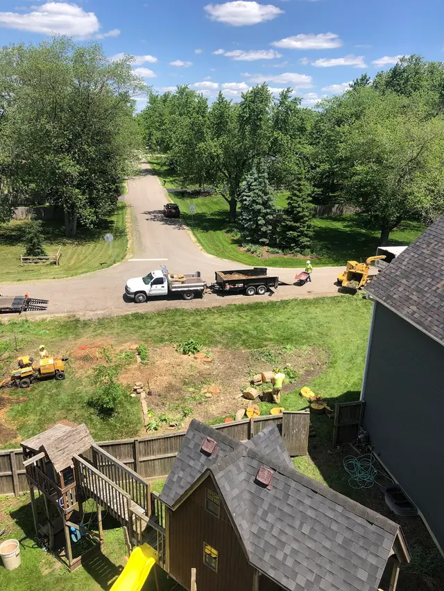 Royal Oaks Tree Care Inc. — photo from the business 12