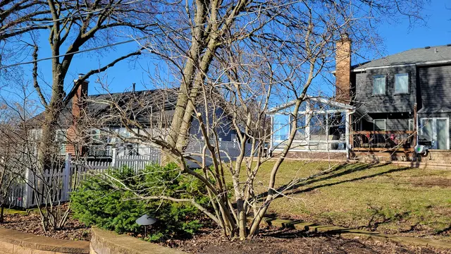 Royal Oaks Tree Care Inc. — customer photo 9