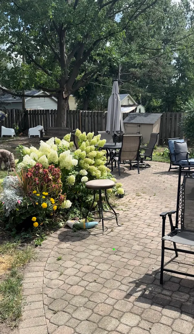 Royal Oaks Tree Care Inc. — customer photo 5