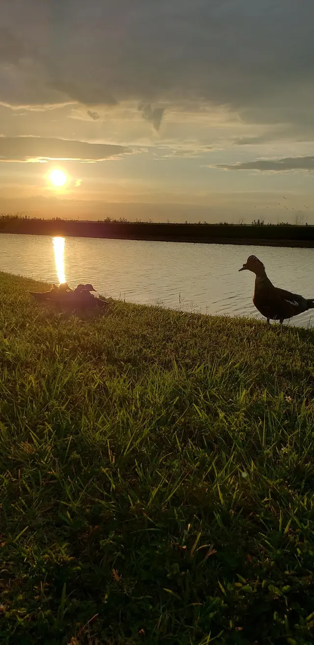 Lakefront Park — customer photo 2