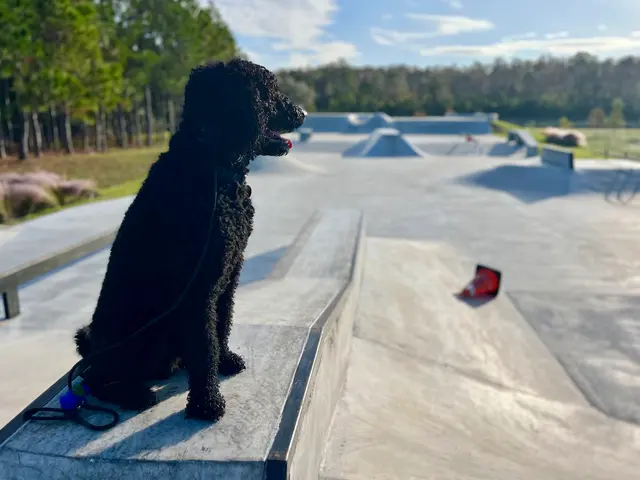 Ted Broda Memorial Park — customer photo 2