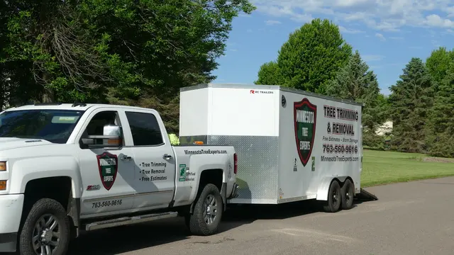 Minnesota Tree Experts — photo from the business 1