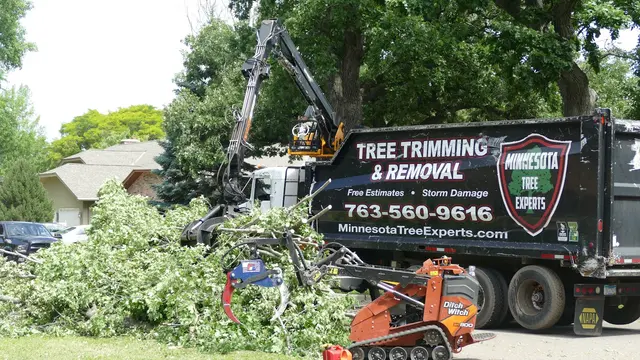Minnesota Tree Experts — photo from the business 12