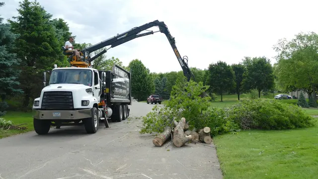 Minnesota Tree Experts — photo from the business 6