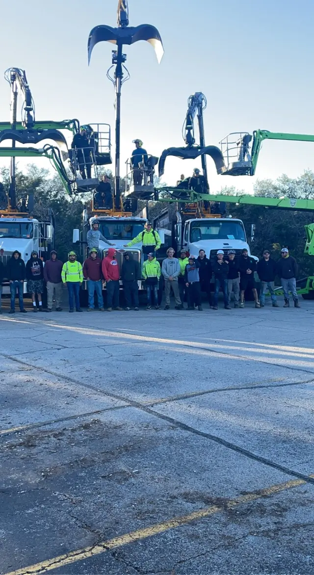 Minnesota Tree Experts — photo from the business 8