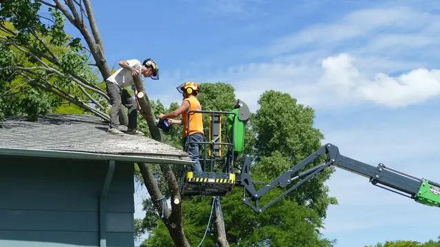 Minnesota Tree Experts — photo from the business 2