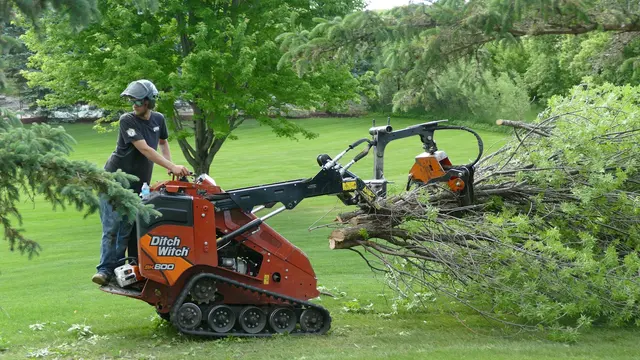 Minnesota Tree Experts — photo from the business 3
