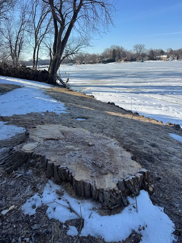 Northern Stump Solutions — photo from the business 10
