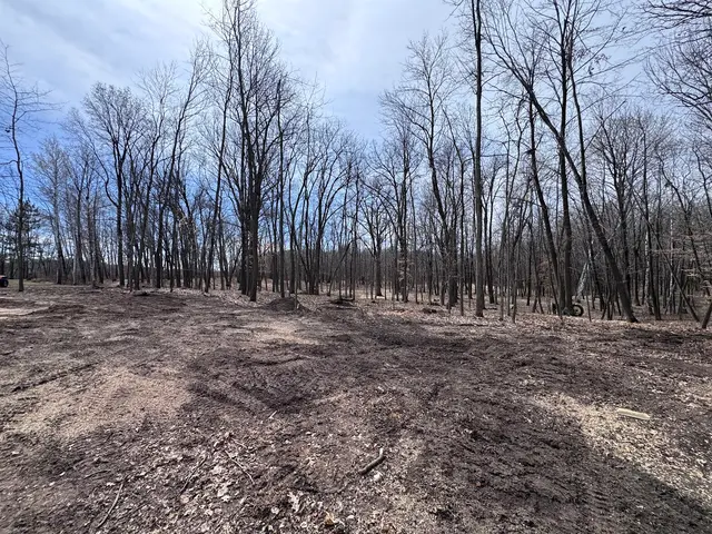 Northern Stump Solutions — photo from the business 4