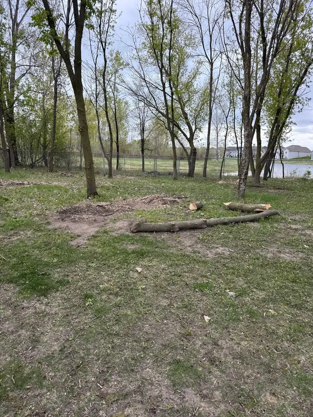 Northern Stump Solutions — photo from the business 8