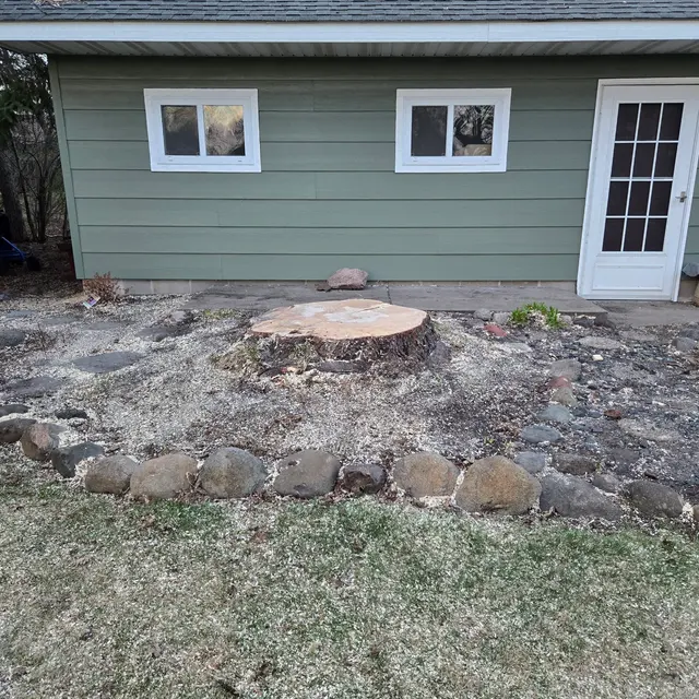 Customer photo from Dave's review
