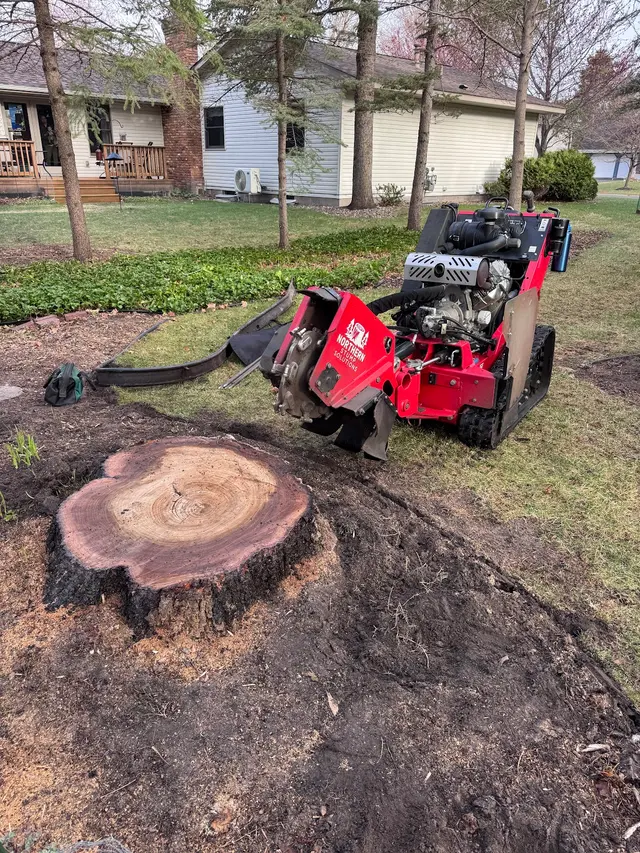 Northern Stump Solutions — photo from the business 3