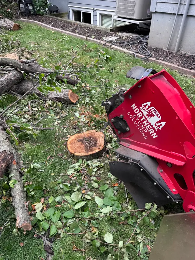 Northern Stump Solutions — photo from the business 5