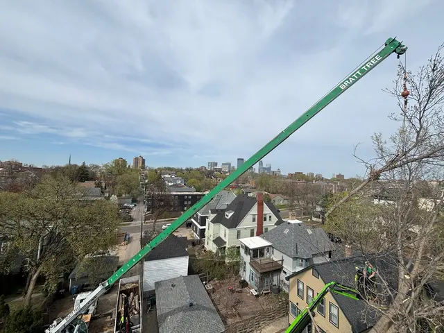 Bratt Tree — photo from the business 3