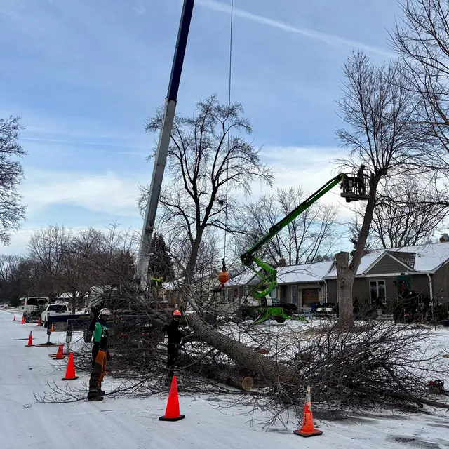 Bratt Tree — photo from the business 10
