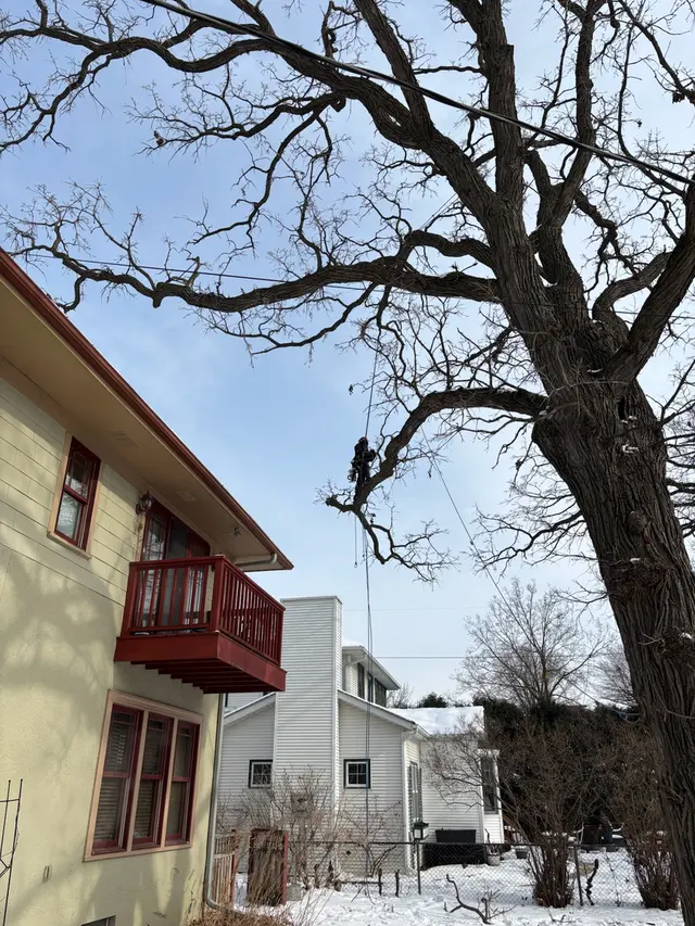 Bratt Tree — photo from the business 12