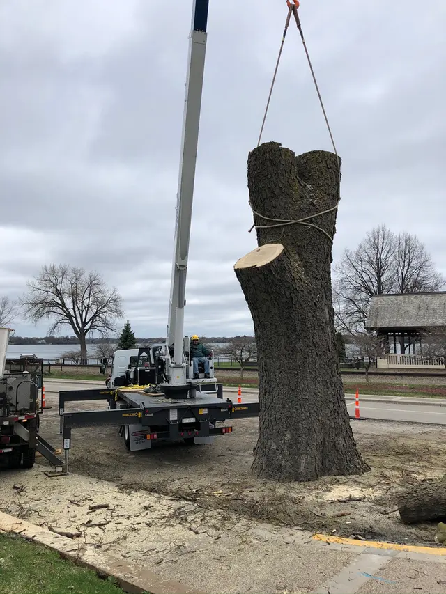 Bratt Tree — photo from the business 8
